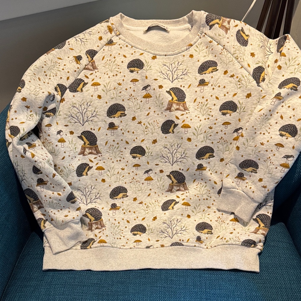 SM Wardrobe Hedgehog Autumn print Sweatshirt.